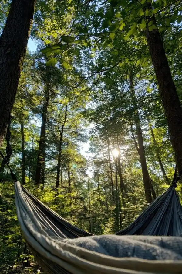 Camping Hammock with Straps