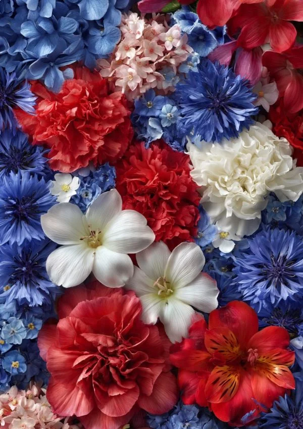 Flower Art