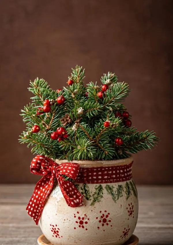 Handmade Plant Pot