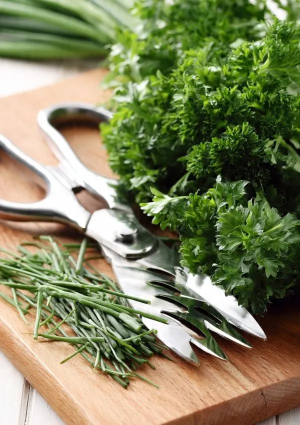 Herb Scissors