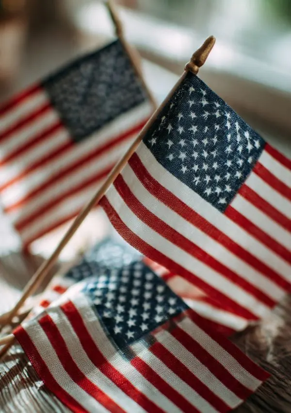 Mini American Flags