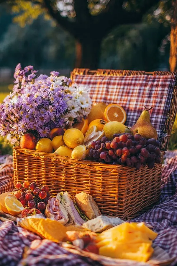 Outdoor Picnic Basket