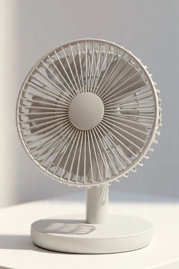 Portable Fan