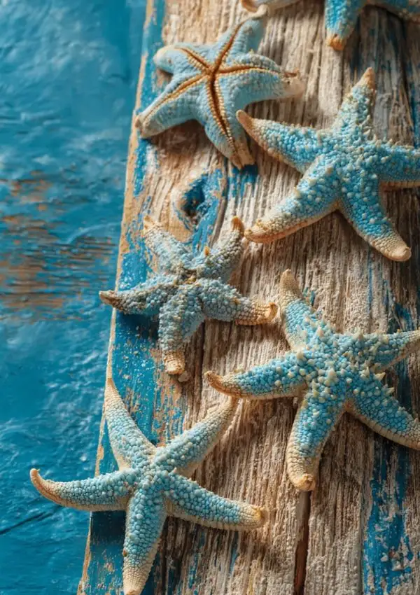 Starfish Wall Art