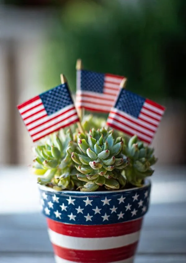 Succulent Plant
