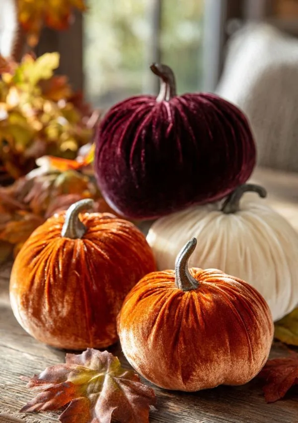 Velvet Pumpkin Set